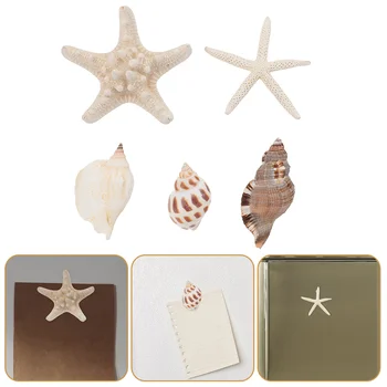 5 Buc Animal Magneți Shell Magneți De Frigider Meserii Frigider Scoica Acasă Decorative Bucatarie Mare Tematice Imagine