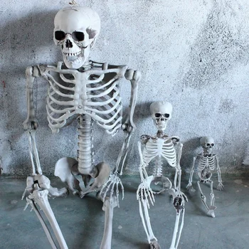 Halloween schelet elemente de recuzită de Halloween bar cameră secretă decor schelet, cadru de groază schelet uman model cadru Imagine